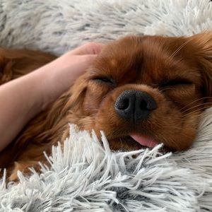 Meet your Posher, Kaitlin